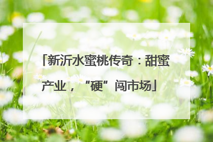 新沂水蜜桃传奇：甜蜜产业，“硬”闯市场