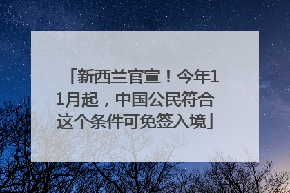 新西兰官宣！今年11月起，中国公民符合这个条件可免签入境
