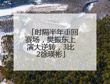 时隔半年重回赛场，樊振东上演大逆转，3比2徐瑛彬
