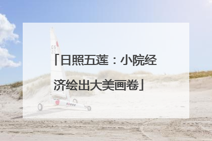 日照五莲：小院经济绘出大美画卷