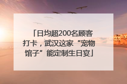 日均超200名顾客打卡，武汉这家“宠物馆子”能定制生日宴