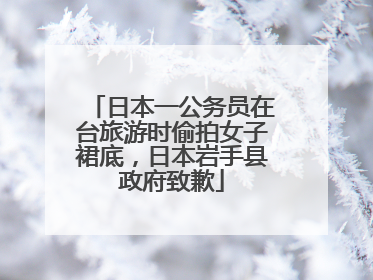 日本一公务员在台旅游时偷拍女子裙底，日本岩手县政府致歉