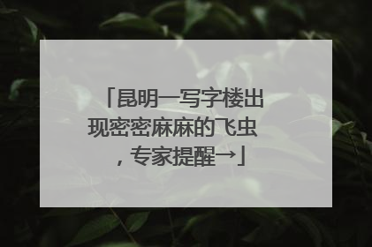 昆明一写字楼出现密密麻麻的飞虫，专家提醒→