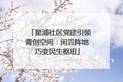 星浦社区党建引领青创空间：闲置阵地巧变民生枢纽