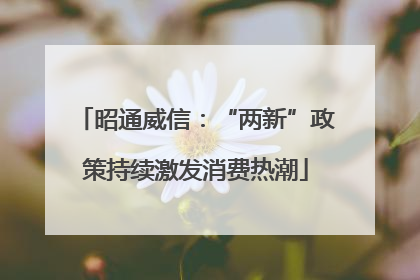昭通威信：“两新”政策持续激发消费热潮