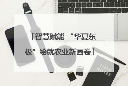 智慧赋能 “华夏东极”绘就农业新画卷