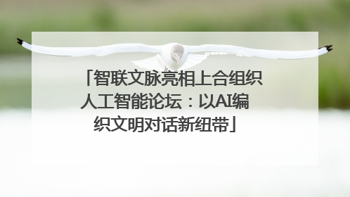 智联文脉亮相上合组织人工智能论坛：以AI编织文明对话新纽带
