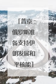 普京：俄罗斯准备支持伊朗发展和平核能