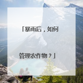 暴雨后，如何管理农作物？