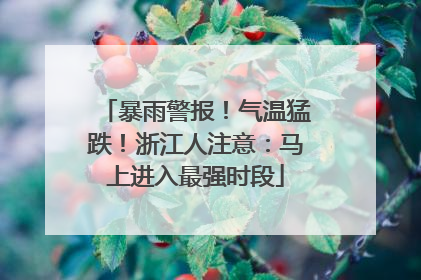 暴雨警报！气温猛跌！浙江人注意：马上进入最强时段
