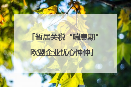 暂居关税“喘息期” 欧盟企业忧心忡忡