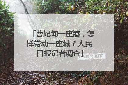 曹妃甸一座港，怎样带动一座城？人民日报记者调查