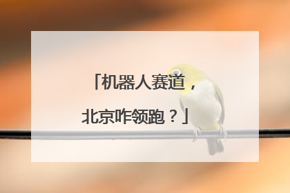 机器人赛道，北京咋领跑？