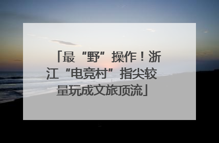 最“野”操作！浙江“电竞村”指尖较量玩成文旅顶流