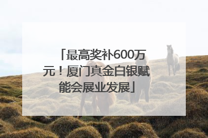 最高奖补600万元！厦门真金白银赋能会展业发展