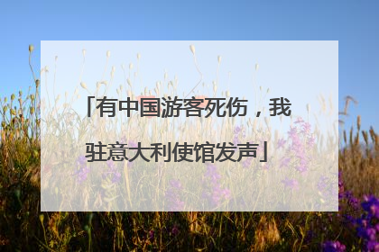 有中国游客死伤，我驻意大利使馆发声