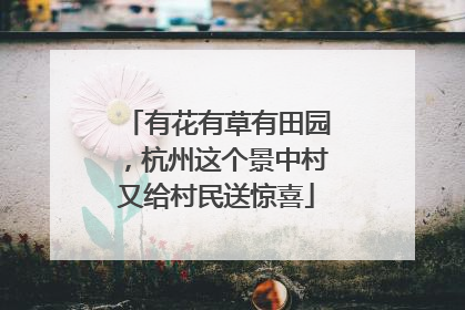 有花有草有田园，杭州这个景中村又给村民送惊喜