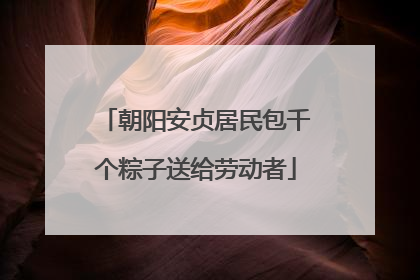 朝阳安贞居民包千个粽子送给劳动者