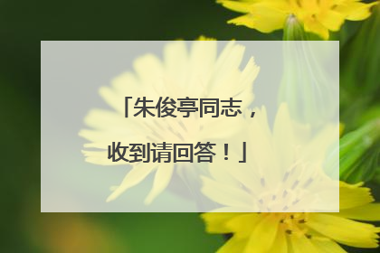 朱俊亭同志，收到请回答！