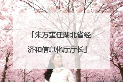 朱万奎任湖北省经济和信息化厅厅长