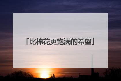 比棉花更饱满的希望