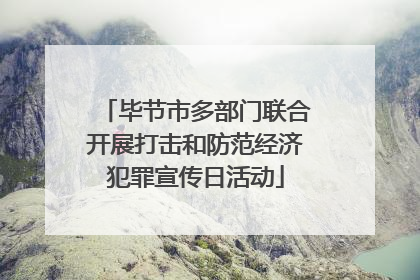 毕节市多部门联合开展打击和防范经济犯罪宣传日活动