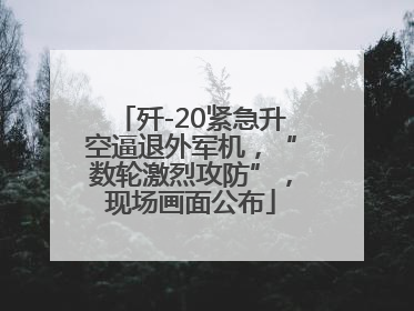 歼-20紧急升空逼退外军机，“数轮激烈攻防”，现场画面公布