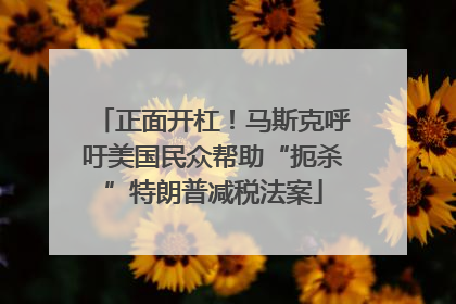 正面开杠！马斯克呼吁美国民众帮助“扼杀”特朗普减税法案