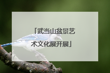 武当山盆景艺术文化展开展