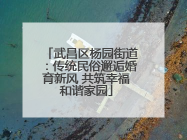 武昌区杨园街道：传统民俗邂逅婚育新风 共筑幸福和谐家园