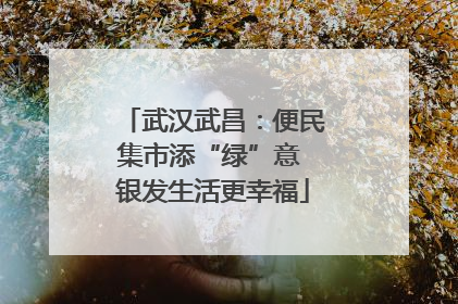 武汉武昌：便民集市添“绿”意 银发生活更幸福