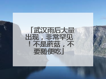武汉雨后大量出现，非常罕见！不是蘑菇，不要随便吃