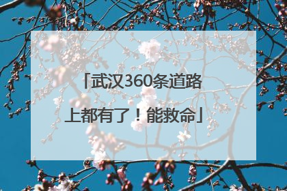 武汉360条道路上都有了！能救命