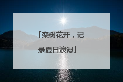 栾树花开，记录夏日浪漫