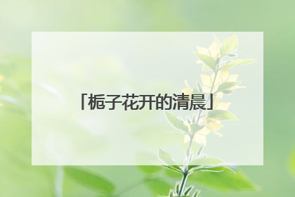 栀子花开的清晨
