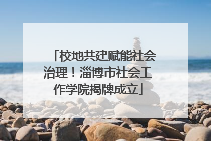 校地共建赋能社会治理！淄博市社会工作学院揭牌成立