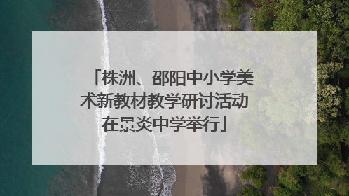 株洲、邵阳中小学美术新教材教学研讨活动在景炎中学举行