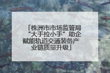 株洲市市场监管局“大手拉小手”助企赋能轨道交通装备产业链质量升级
