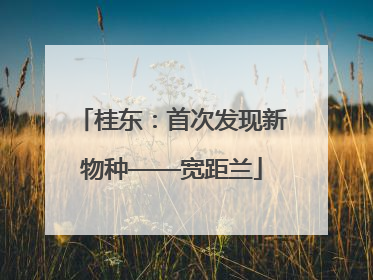 桂东：首次发现新物种——宽距兰