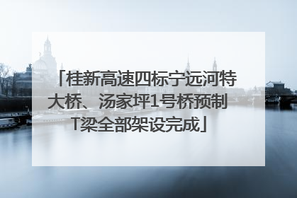 桂新高速四标宁远河特大桥、汤家坪1号桥预制T梁全部架设完成