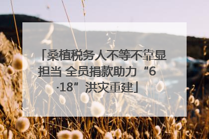 桑植税务人不等不靠显担当 全员捐款助力“6·18”洪灾重建