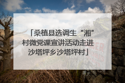 桑植县选调生“湘”村微党课宣讲活动走进沙塔坪乡沙塔坪村