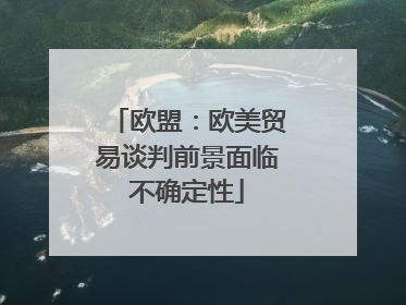 欧盟：欧美贸易谈判前景面临不确定性