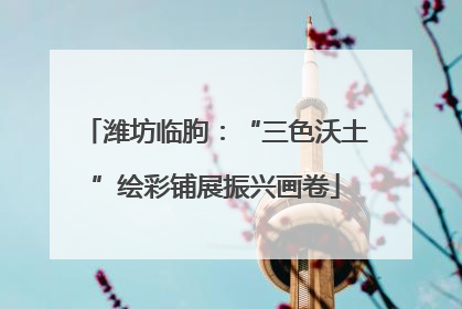 潍坊临朐：“三色沃土”绘彩铺展振兴画卷