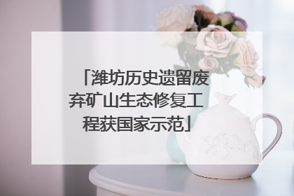 潍坊历史遗留废弃矿山生态修复工程获国家示范