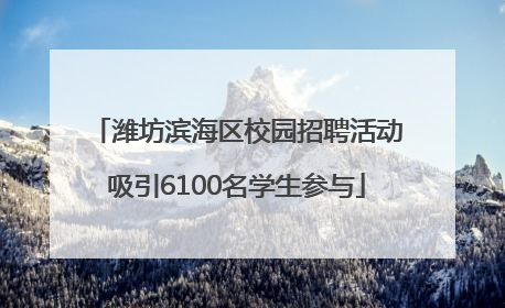 潍坊滨海区校园招聘活动吸引6100名学生参与