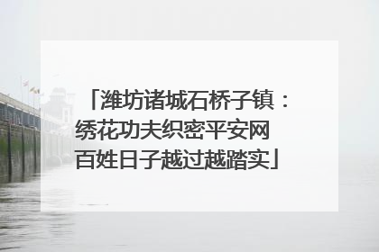 潍坊诸城石桥子镇：绣花功夫织密平安网 百姓日子越过越踏实