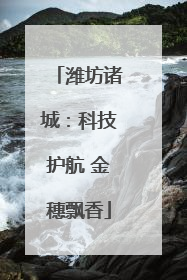 潍坊诸城：科技护航 金穗飘香