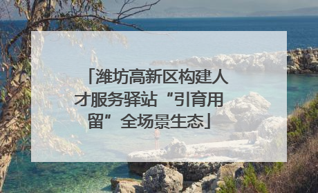 潍坊高新区构建人才服务驿站“引育用留”全场景生态