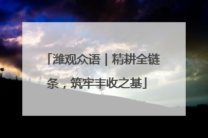 潍观众语｜精耕全链条，筑牢丰收之基